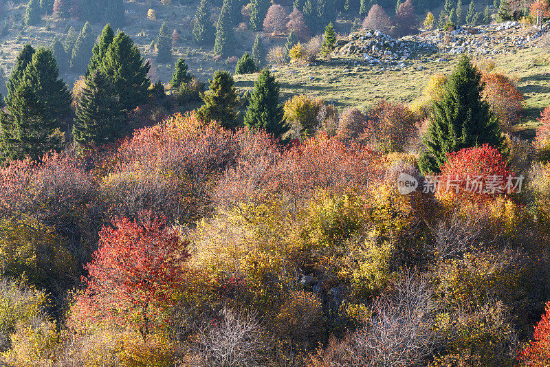 蒙特Grappa-Veneto-Treviso-Italy 28